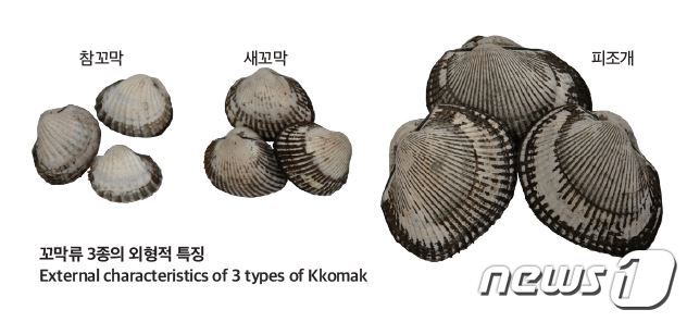 진포수산 이미지