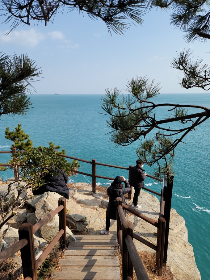 곰솔주단 이미지