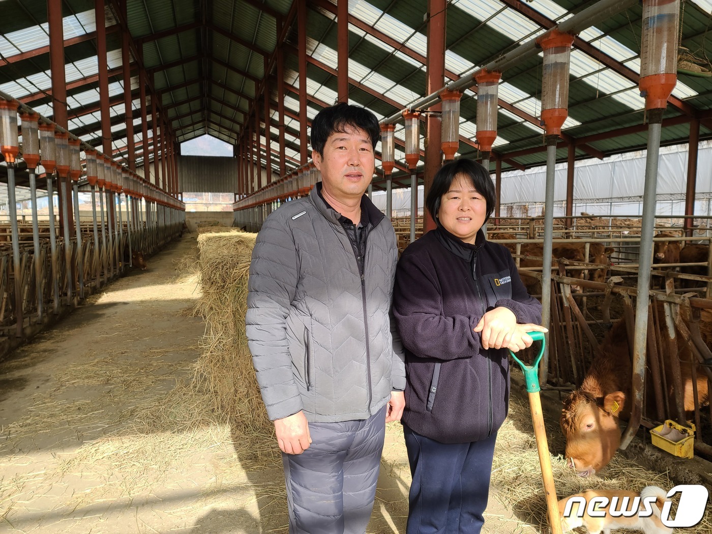 공근농업협동조합 이미지
