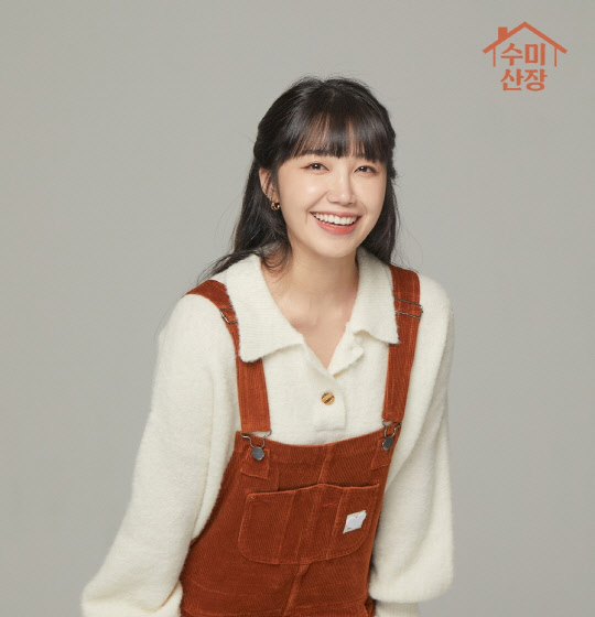 수미 이미지