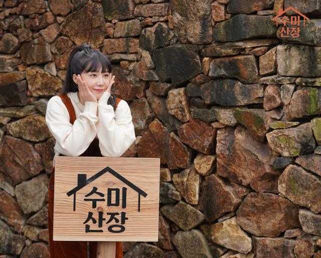 수미 이미지