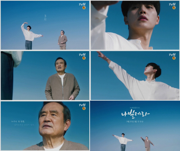 곱다 이미지