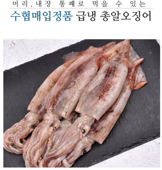 지경유통 이미지