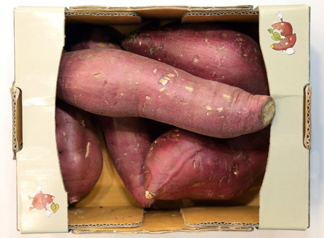 못난이 이미지