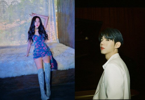 가호 이미지