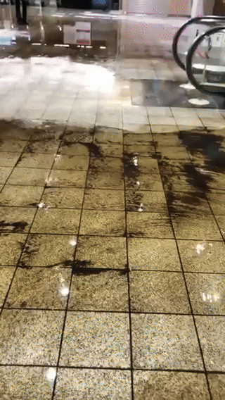 영상=트위터 갈무리