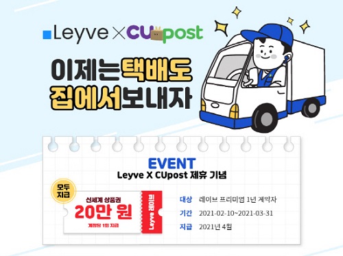 레이시스 이미지