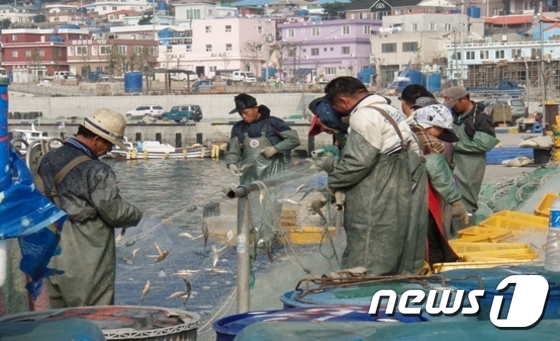 해양어구개발 이미지