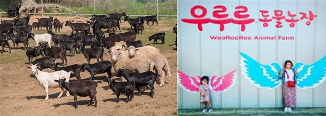 청성애원 주식회사 이미지