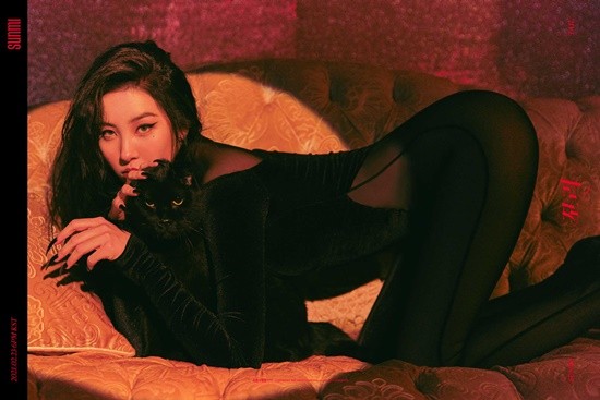 도도한 컴퍼니 이미지