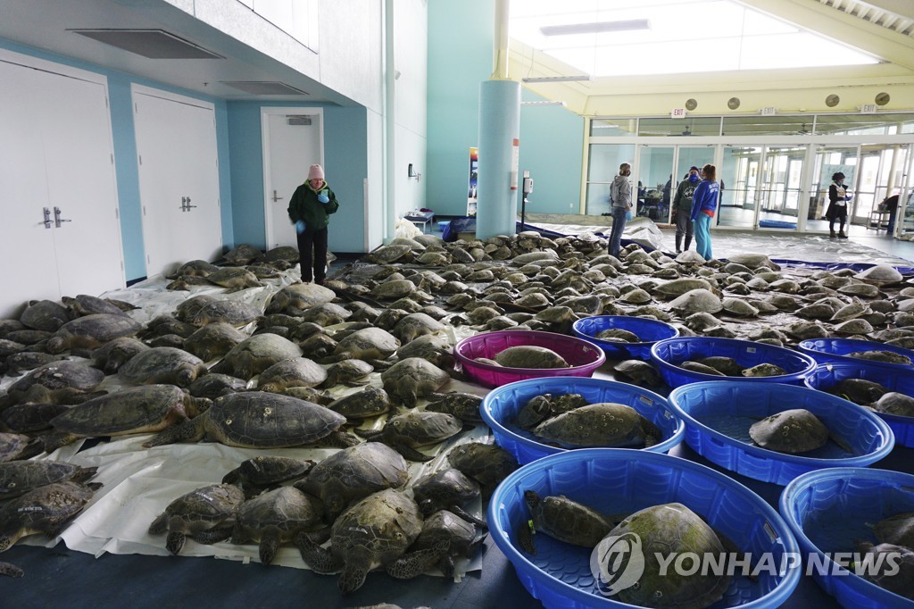 (주)푸른바다 이미지