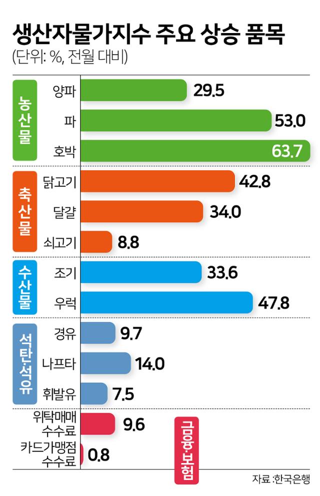 '양파도 닭도 줄줄이 올랐다'..생산자물가 3개월째 상승