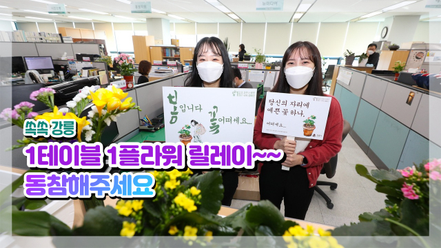 뉴스flower 이미지