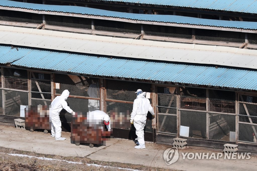 우리조류농장 이미지