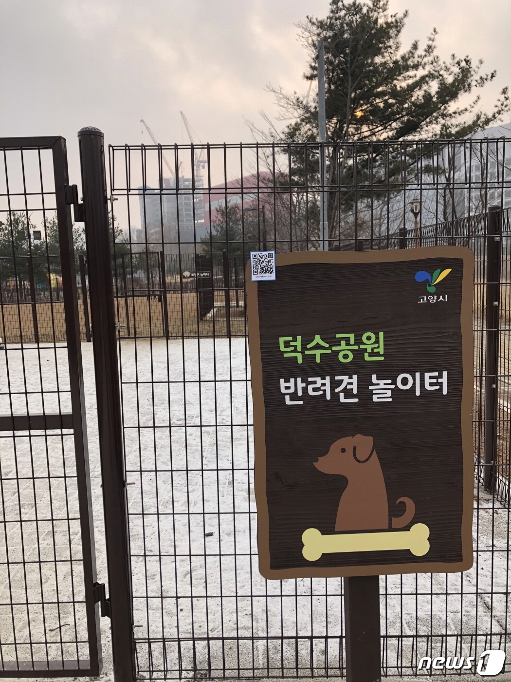 덕수 이미지