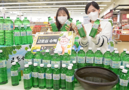 고로쇠 이미지