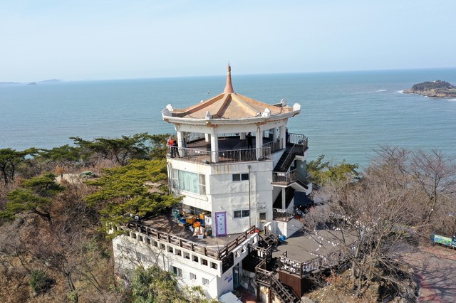 닭이봉 이미지