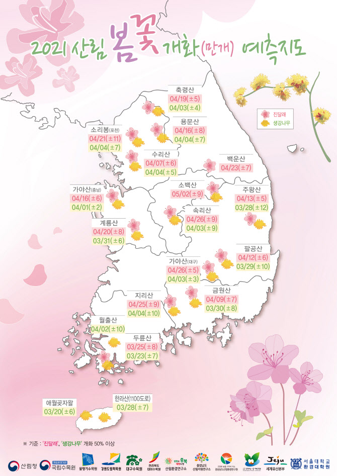 봄꽃처럼 이미지