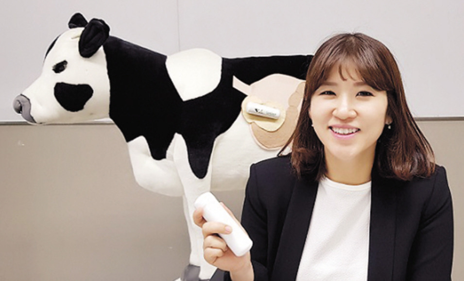 강산테크 이미지