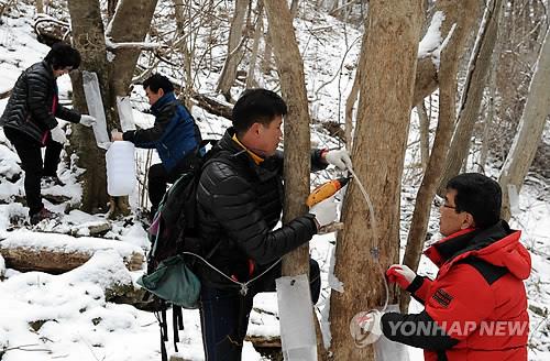 뱀사골특산품 이미지