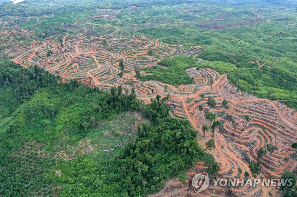 청정바이오 이미지