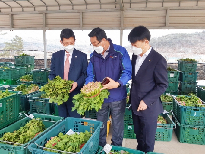 우리농산물유통 이미지