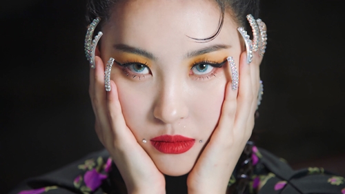 도도한 컴퍼니 이미지