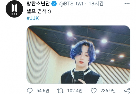 블루헤어 이미지