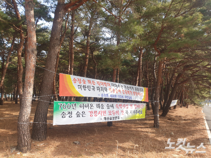 해송개발 이미지