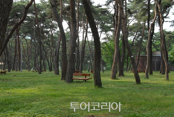 송호 이미지