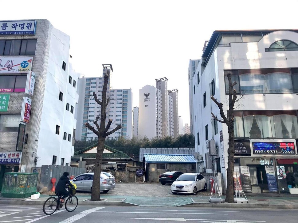 가로수 이미지