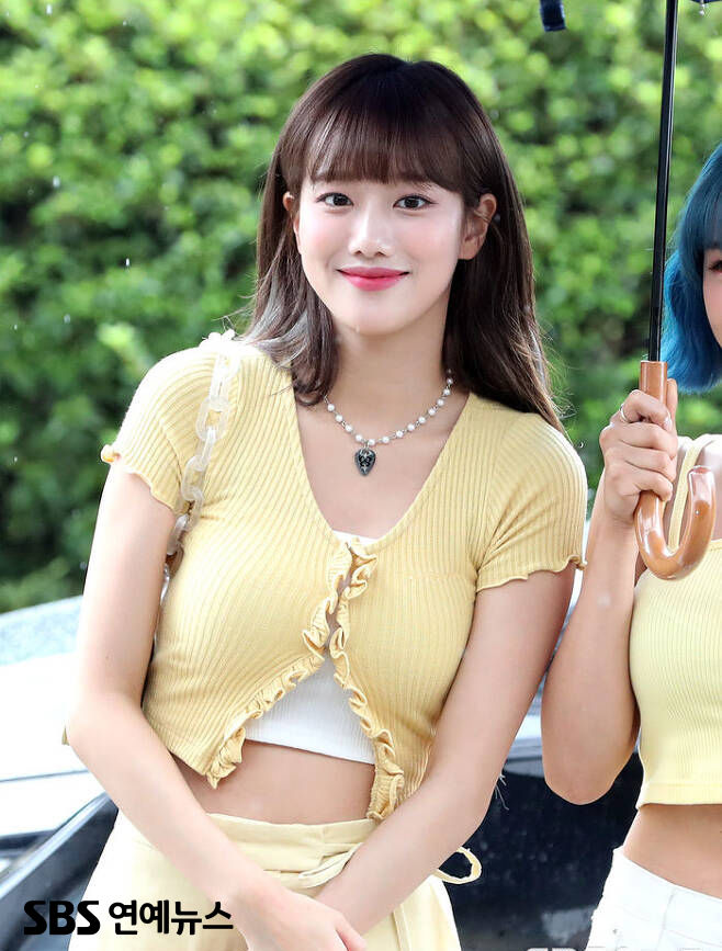 법무법인엘프스 이미지