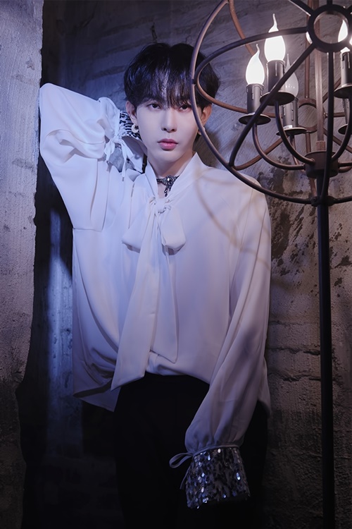 마이스트 이미지