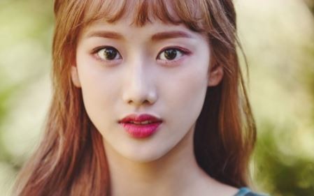 법무법인엘프스 이미지