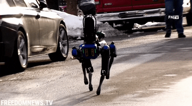 지난 23일(현지 시각) 미국 뉴욕 브롱크스 인질 강도 사건에 투입된 '보스턴 다이내믹스'의 로봇경찰견 '스폿'. /유튜브 FreedomnewsTV