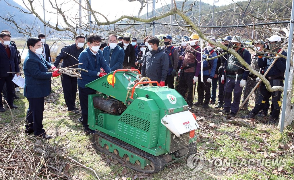 서울부산물 이미지