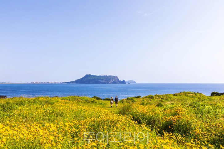 웹투어(주) 이미지