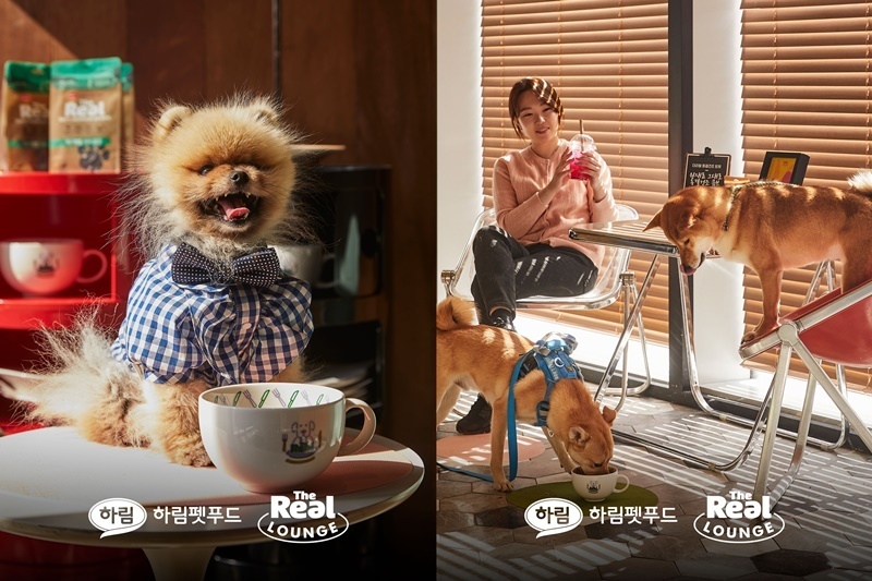 더리얼초코 이미지