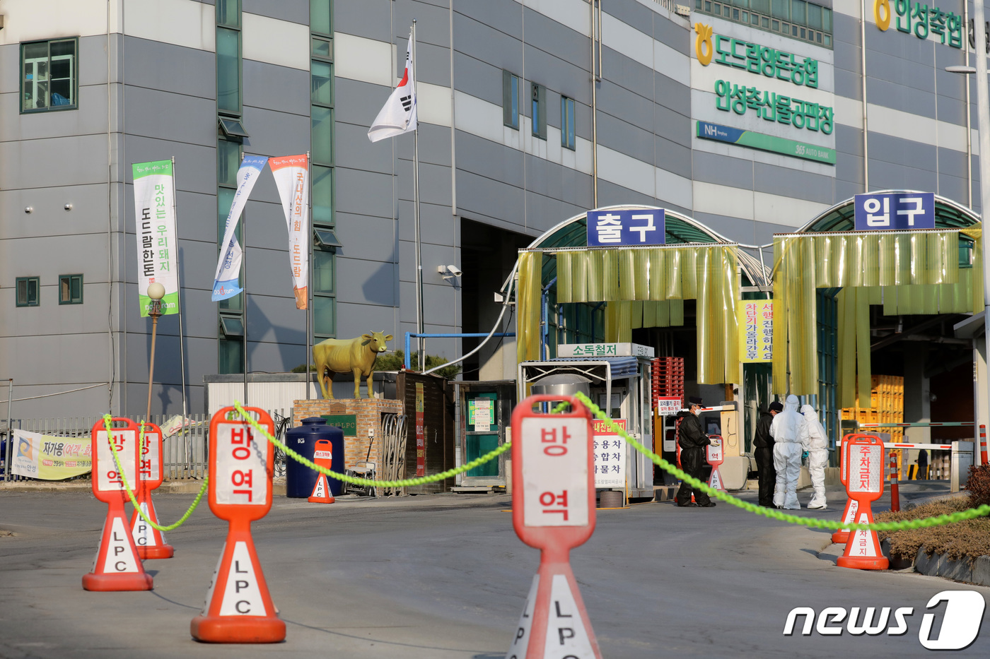 도드람엘피씨공사 이미지