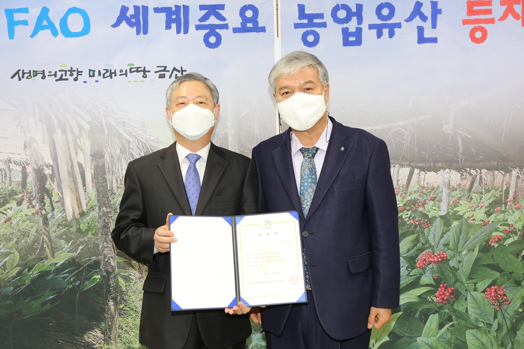 금산약초 이미지