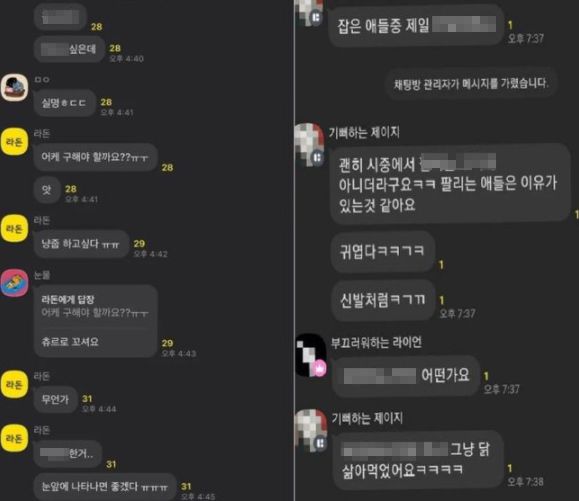 철장커뮤니티 이미지