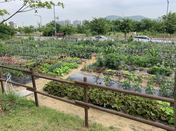 텃밭 이미지