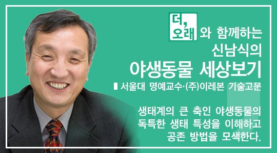 광주수중기술 이미지