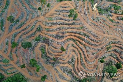 우림농장 이미지