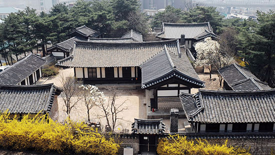 명원 이미지