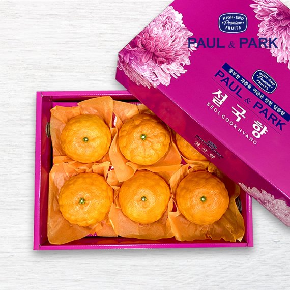 박 이미지