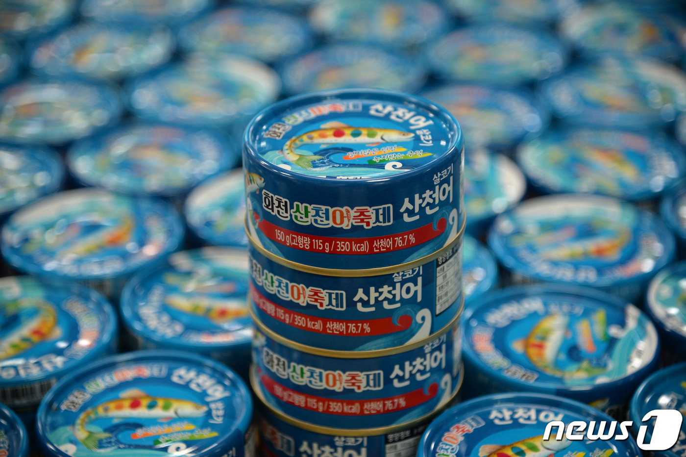 화천산천어가공 이미지