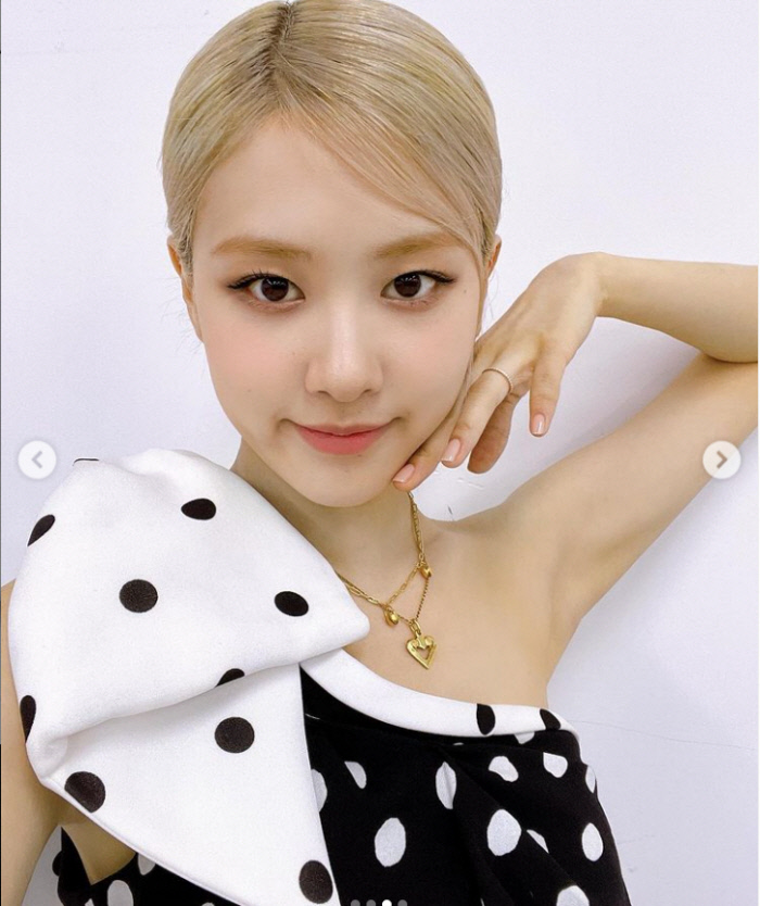 로제 이미지