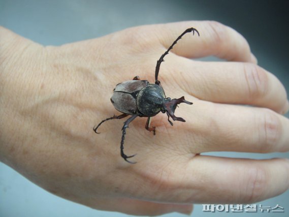전주곤충캠퍼스 이미지