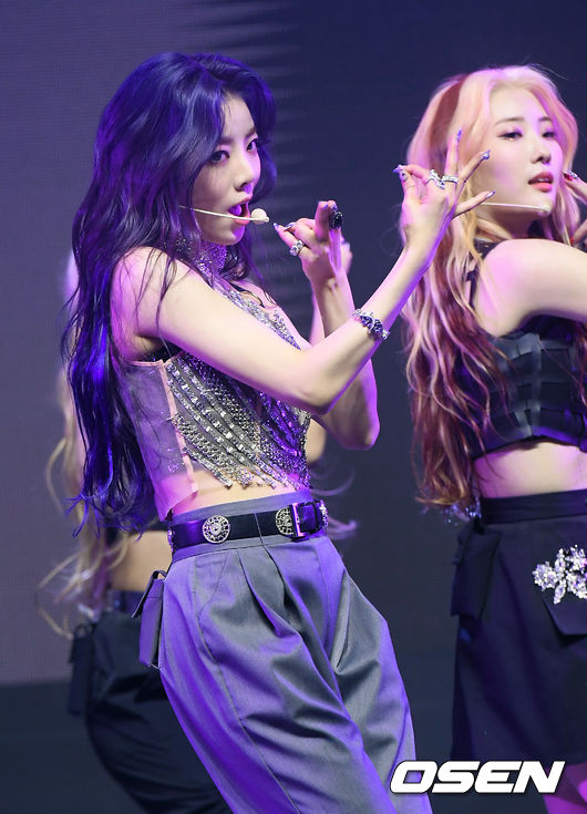 퍼플홀 이미지